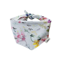 Koiran bandana, kukkaketo