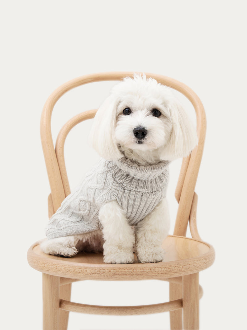 Dog sweater, cable knit, light grey