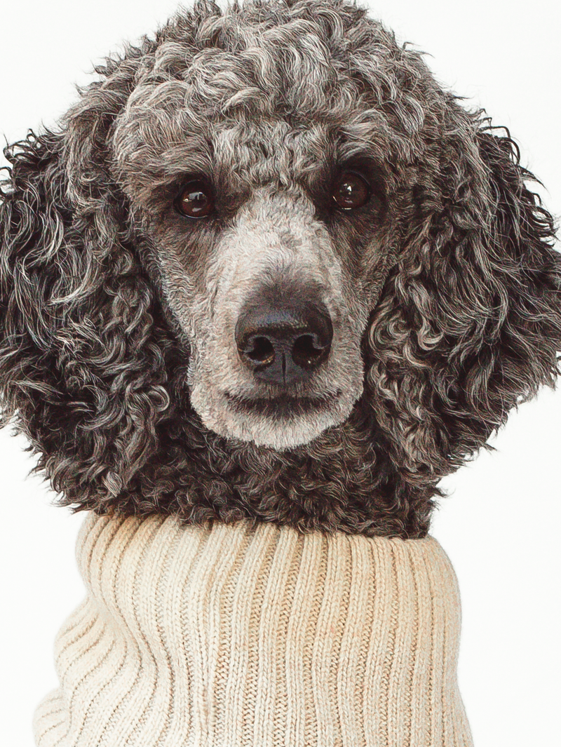 Dog sweater, cable knit, light beige