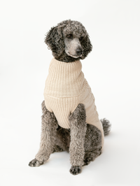 Dog sweater, cable knit, light beige