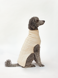 Koiran neule, palmikko, vaalea beige