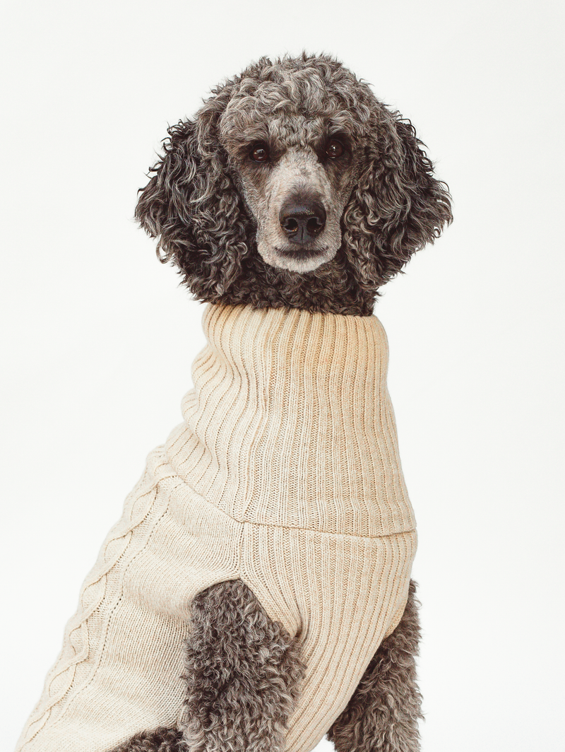 Dog sweater, cable knit, light beige