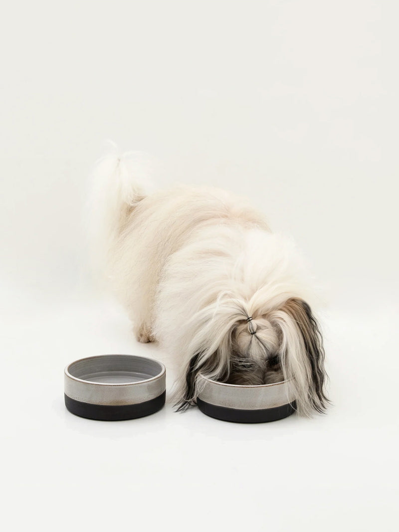 Koiran keraaminen ruokakulhosetti, 2 kulhoa, musta/harmaa