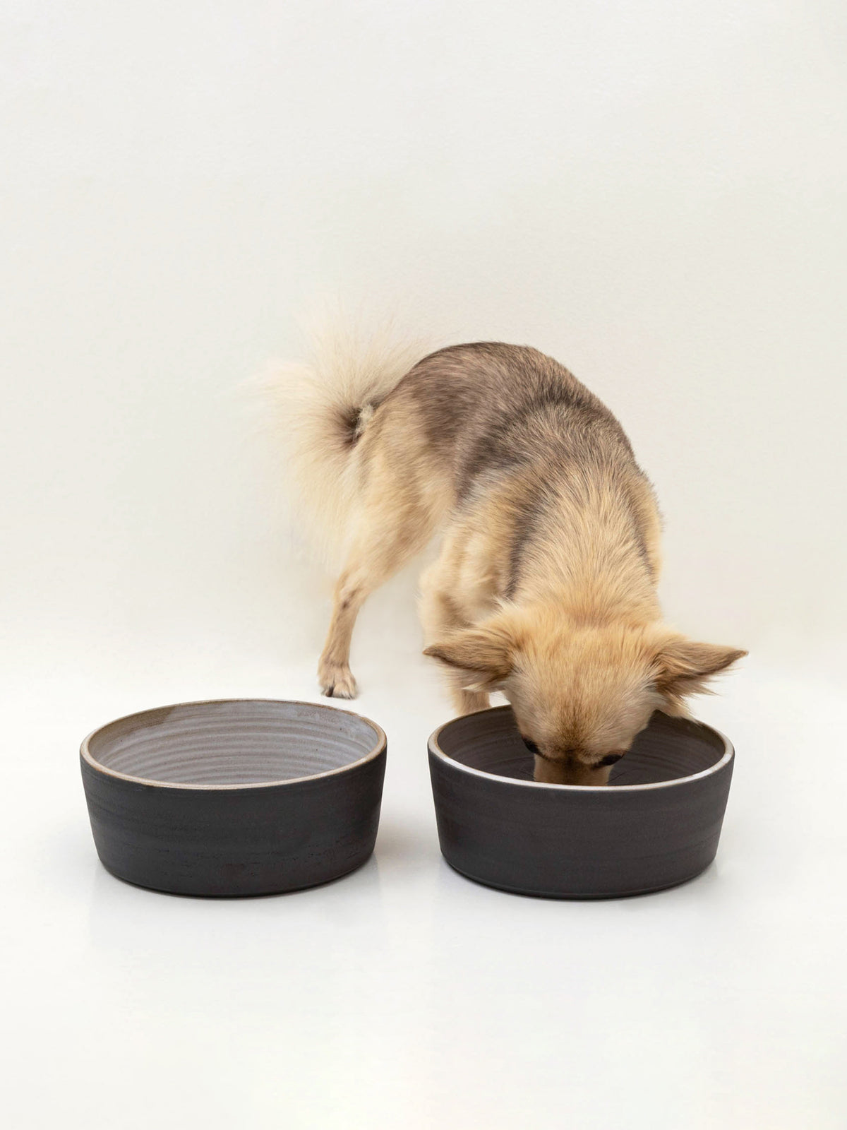 Koiran keraaminen ruokakulhosetti, 2 kulhoa, musta (ylöspäin levenevät kulhot)