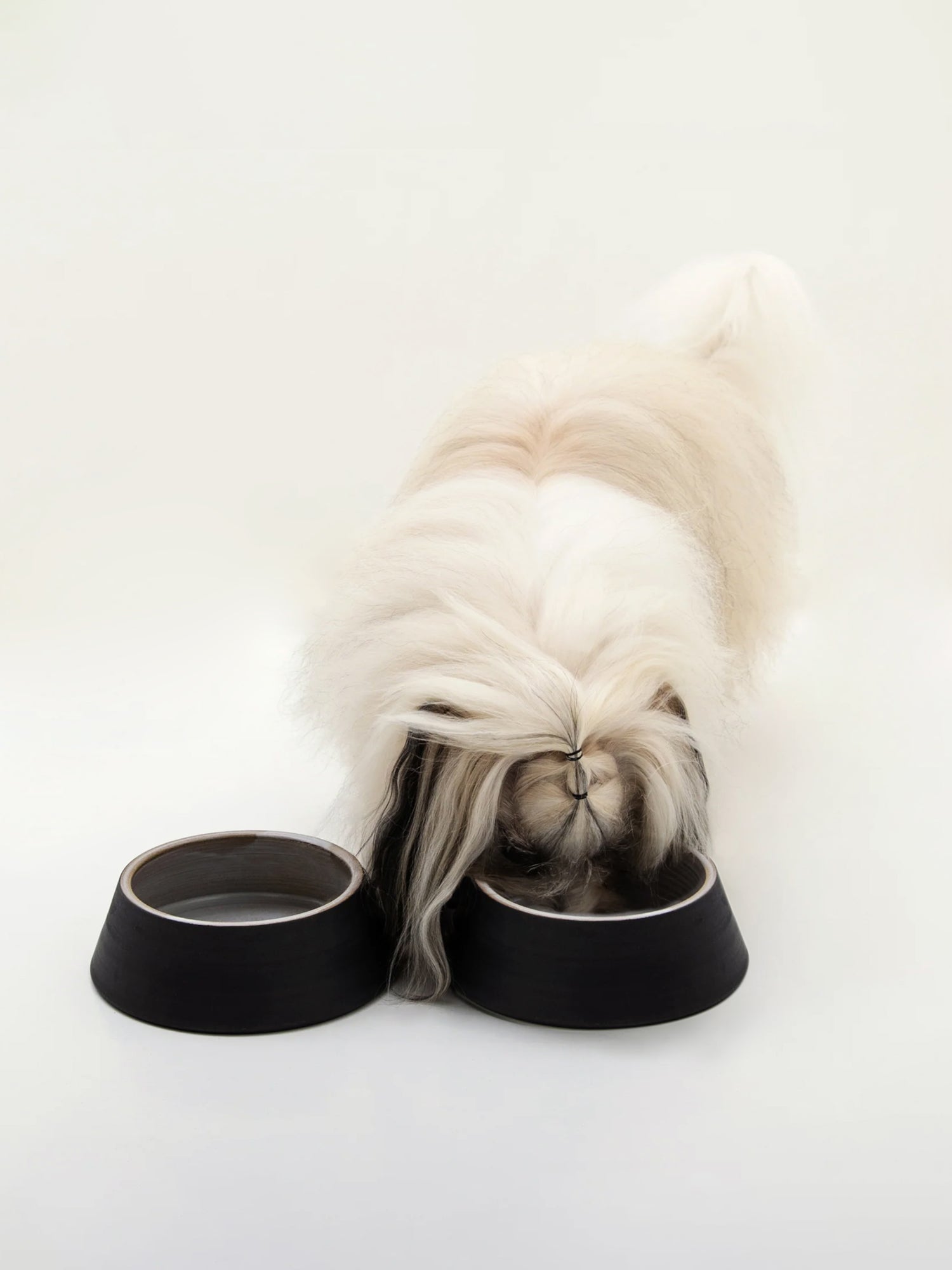 Koiran keraaminen ruokakulhosetti, 2 kulhoa, musta (alaspäin levenevät kulhot)