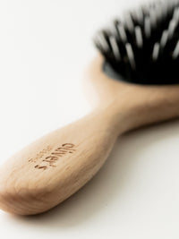 Dog mixed bristle brush