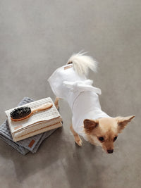 Dog bathrobe