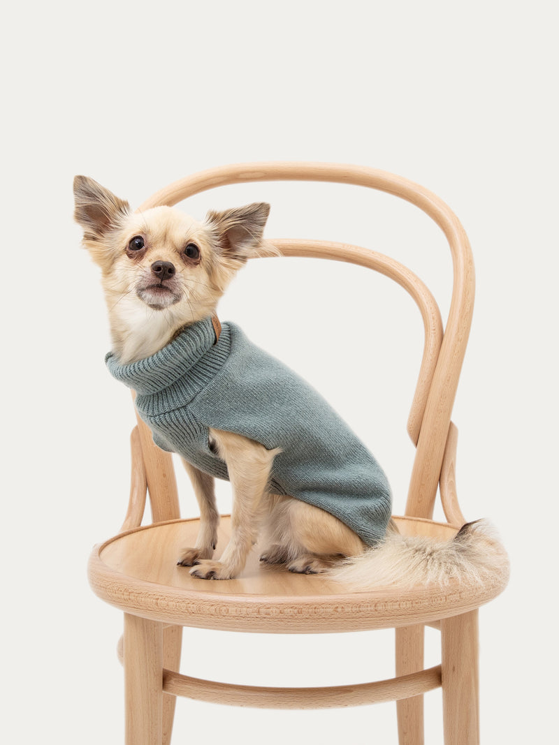 Dog sweater, plain knit, green