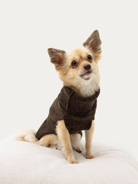 Dog sweater, plain knit, brown