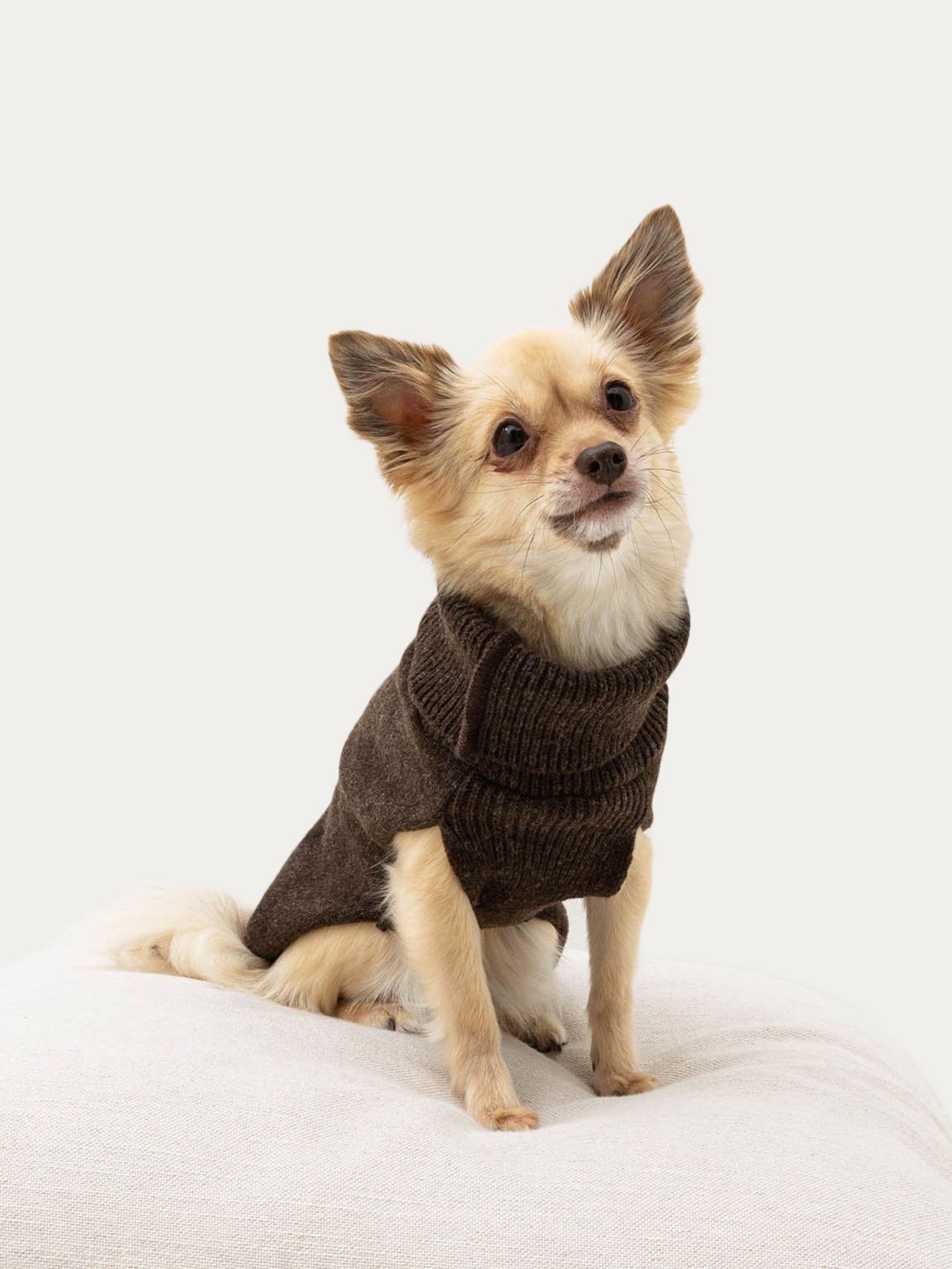 Dog sweater, plain knit, brown